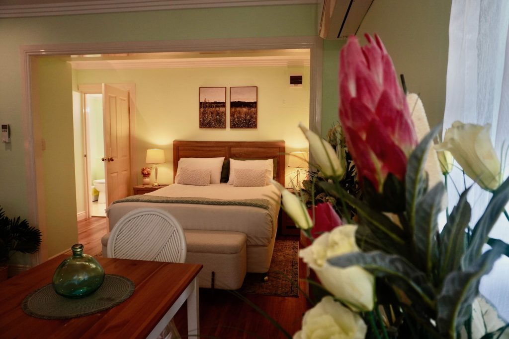 Curtis Falls Studio Apartment in the rainforest